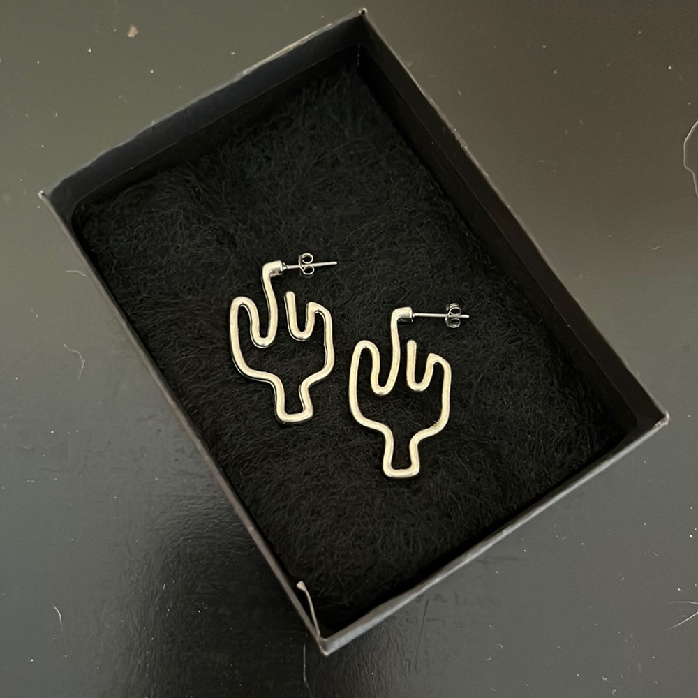 Silver 🌵 earrings